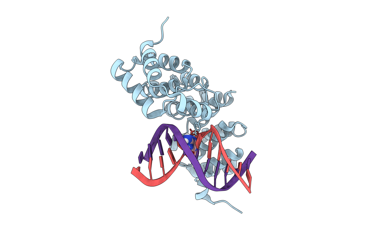 5KUB image