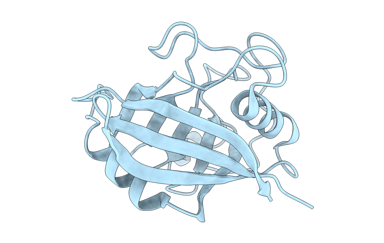 5KV5 image