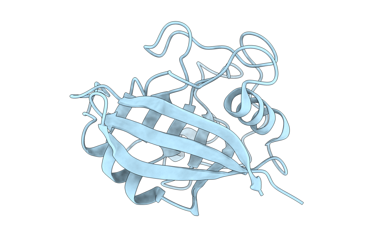 5KV6 image