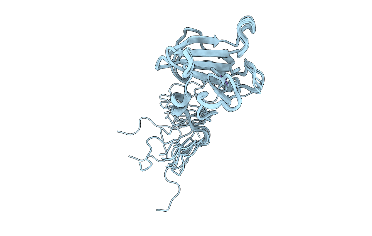 5KVP image