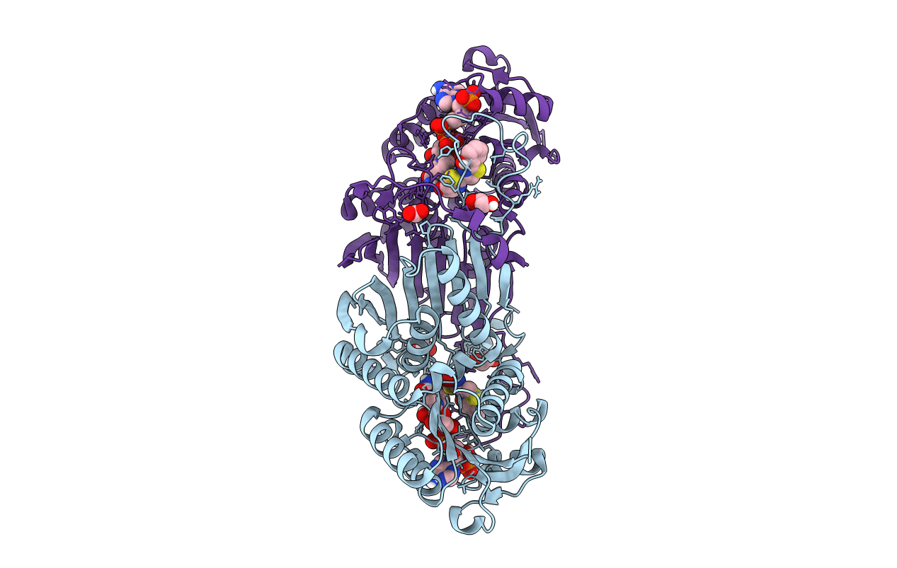 5KVS image