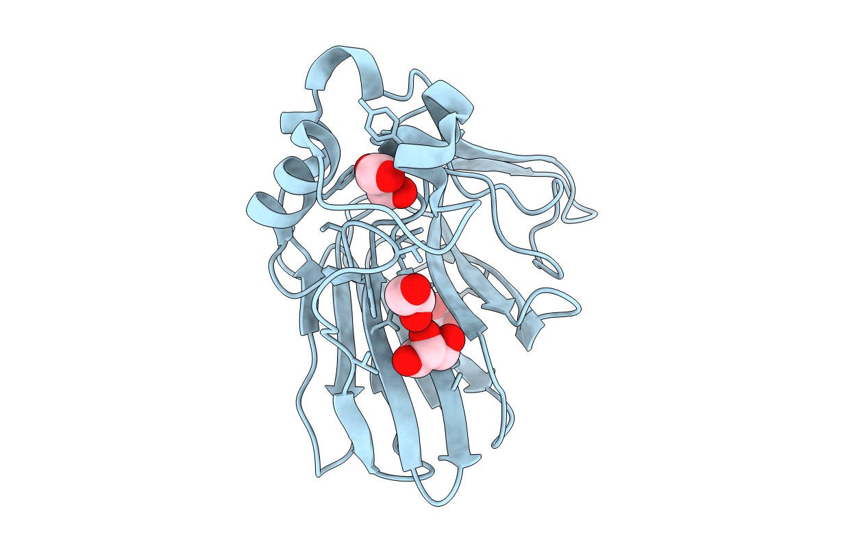 5KVX image