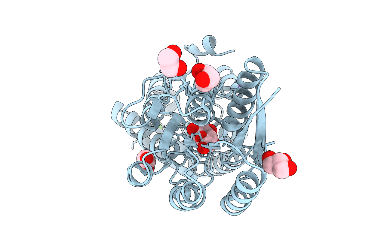5KWS image