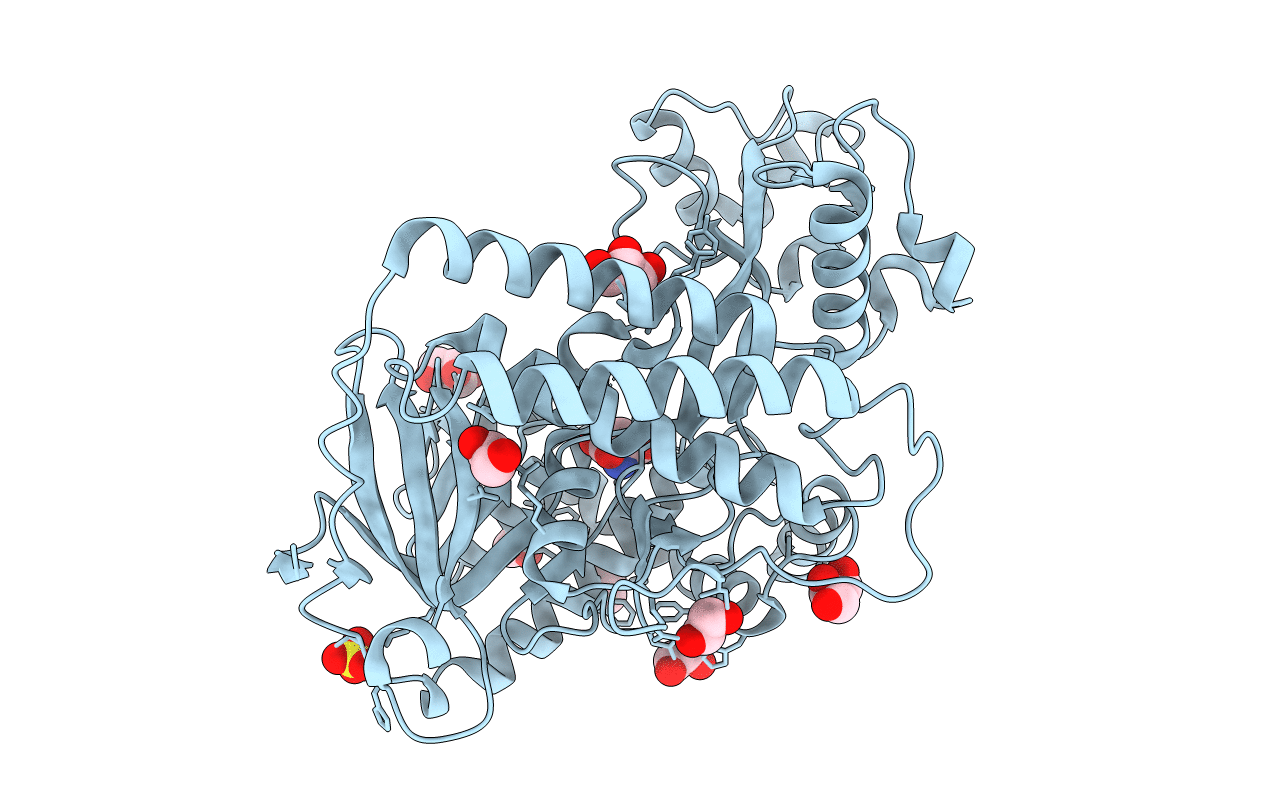 5KXJ image
