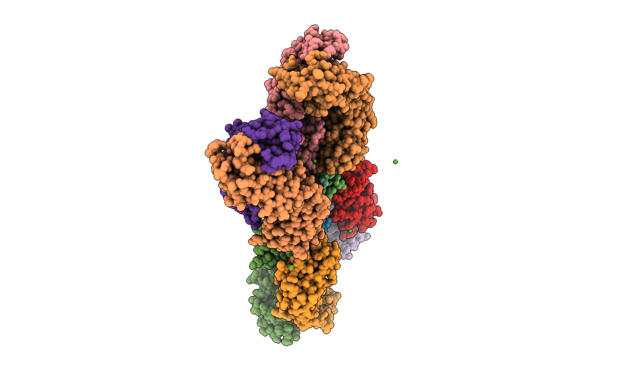5KZP image