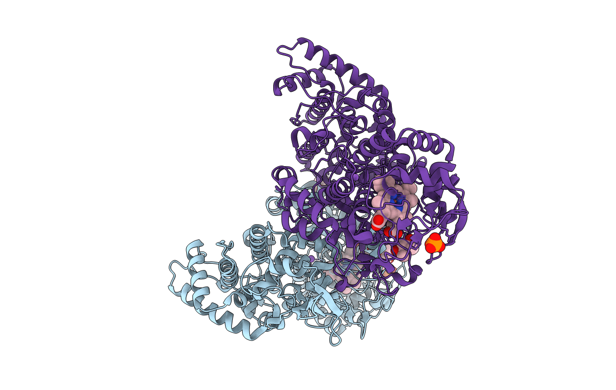 5L02 image