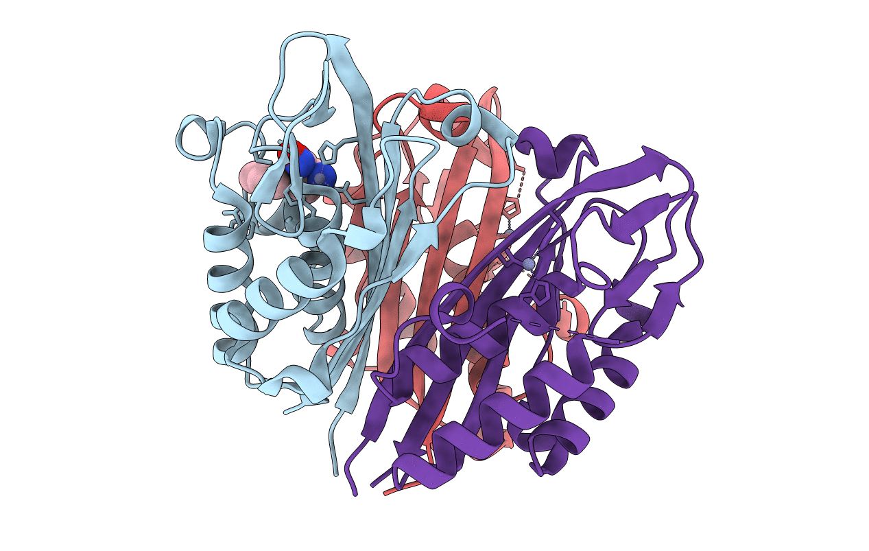 5L03 image