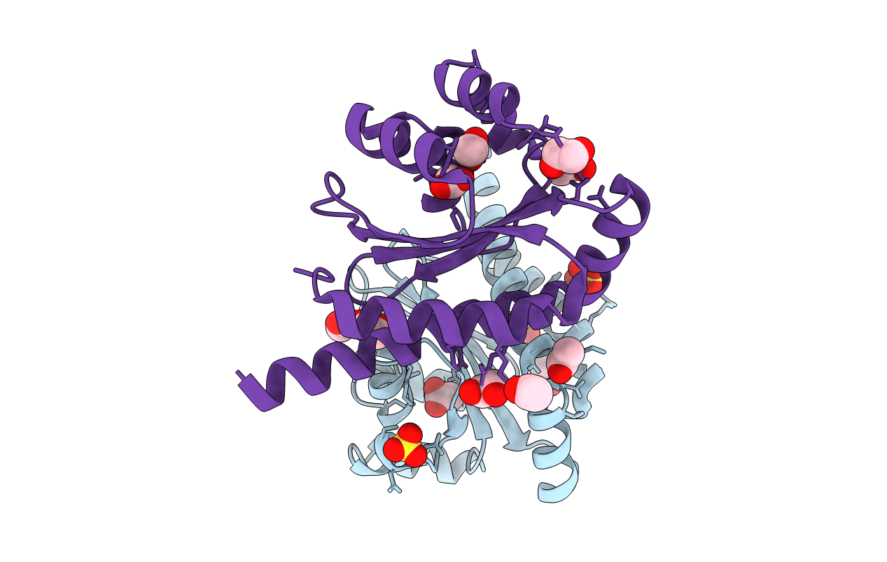 5L07 image