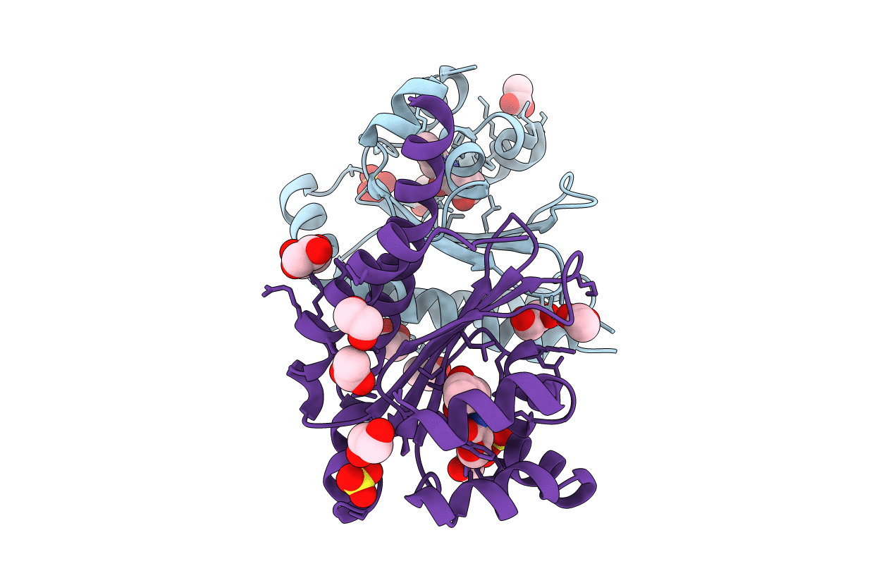 5L09 image