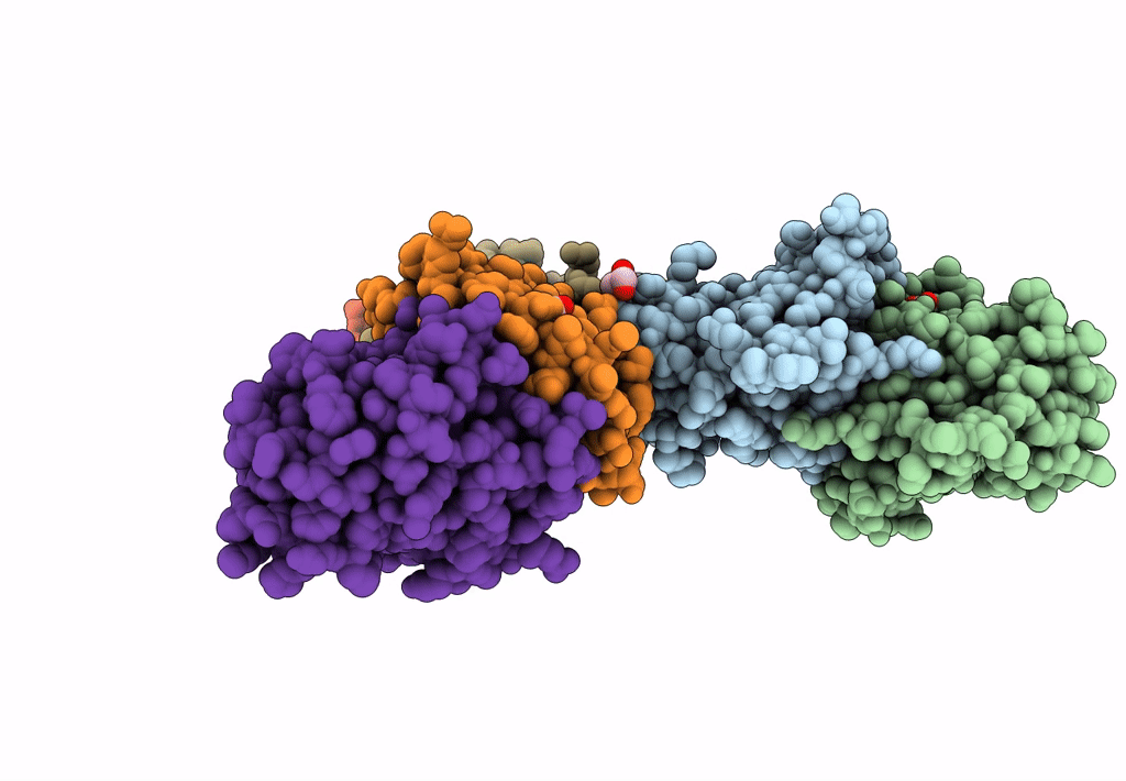 5L10 image