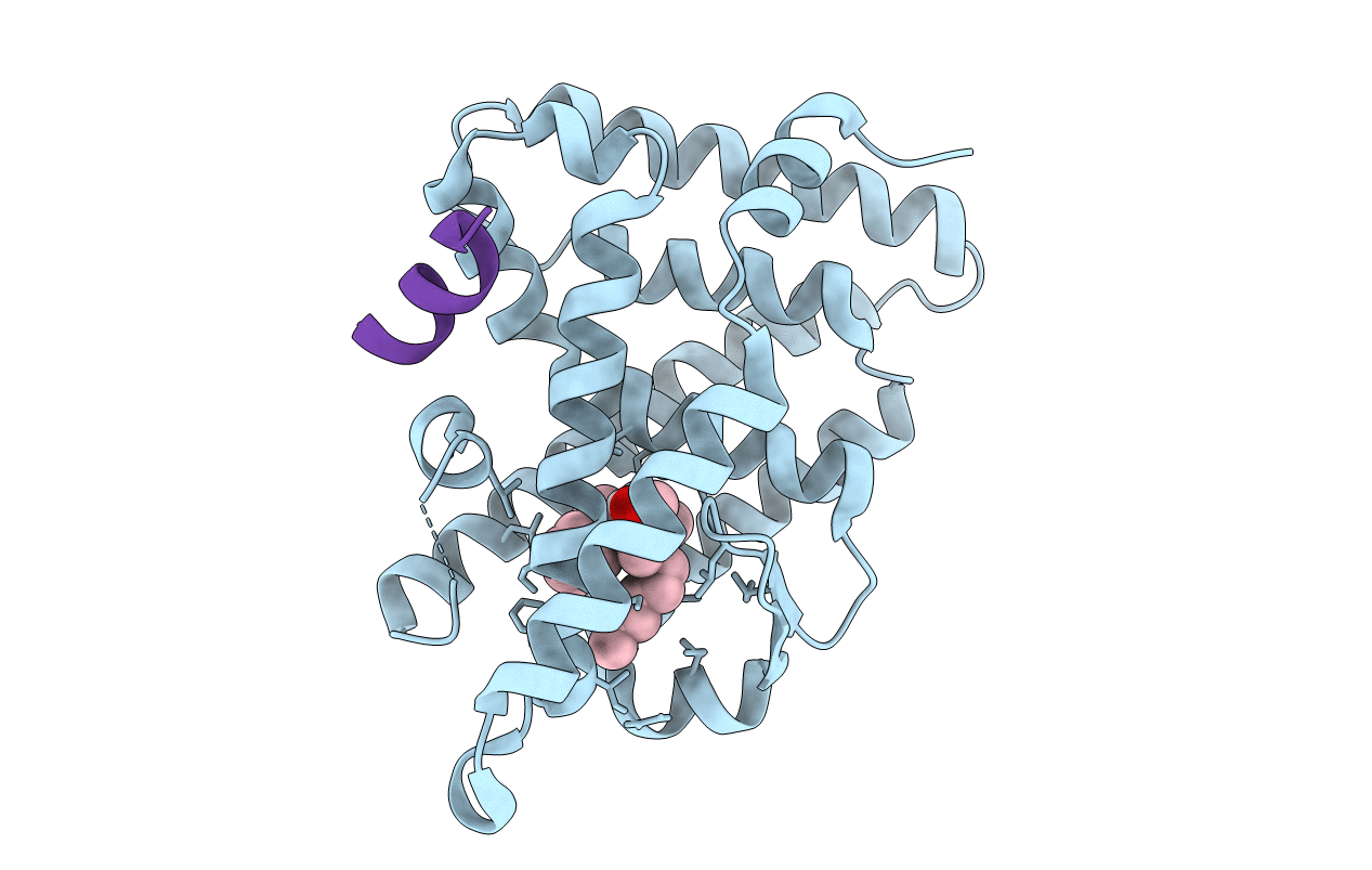 5L11 image