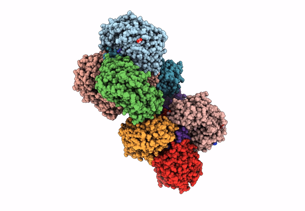5L13 image