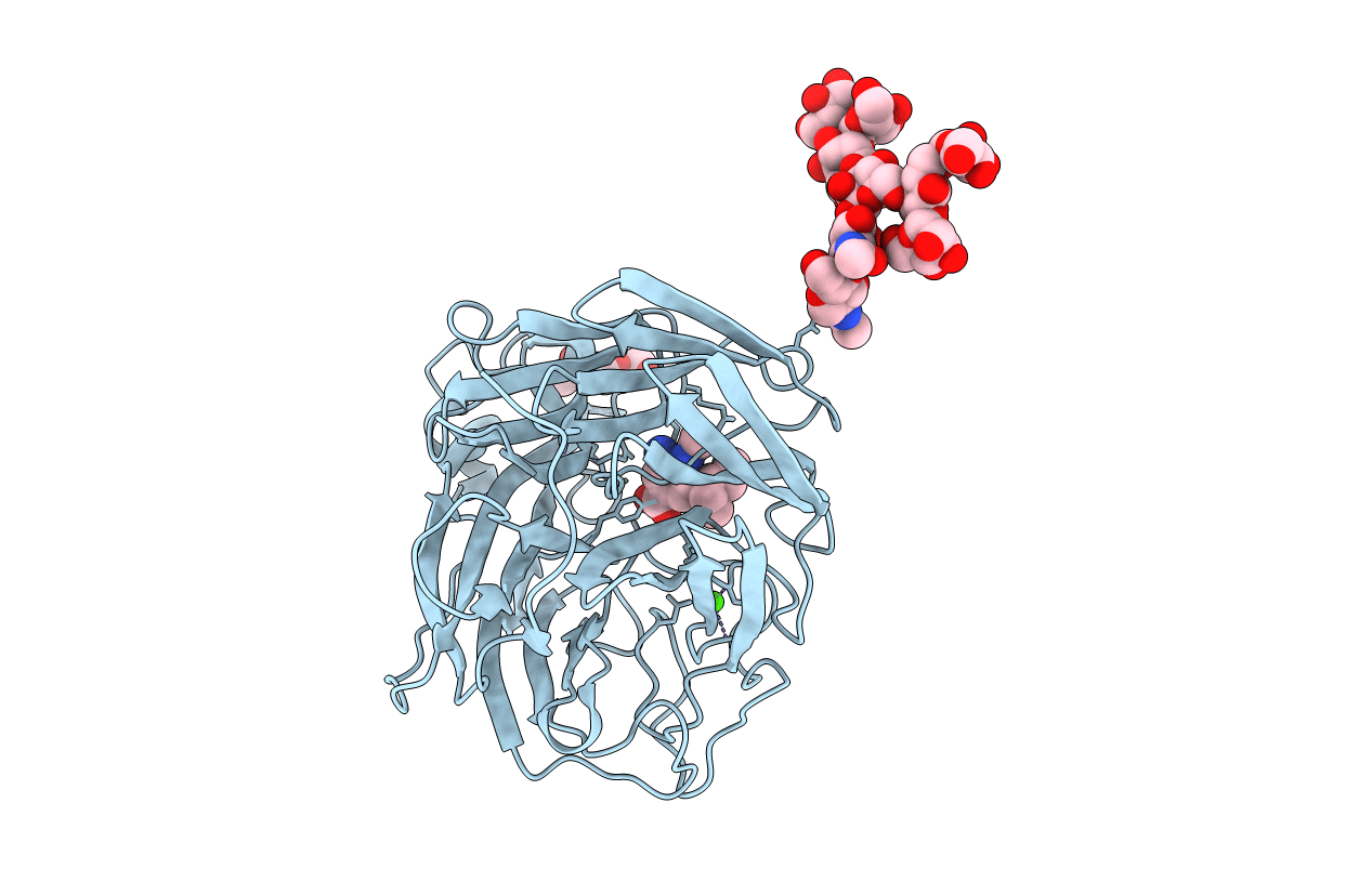 5L15 image