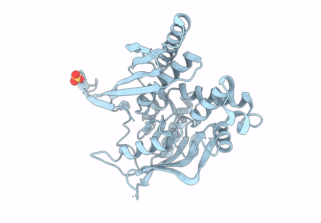 5L16 image