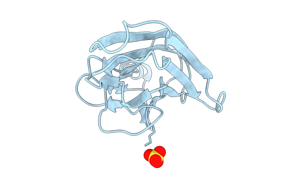 5L19 image