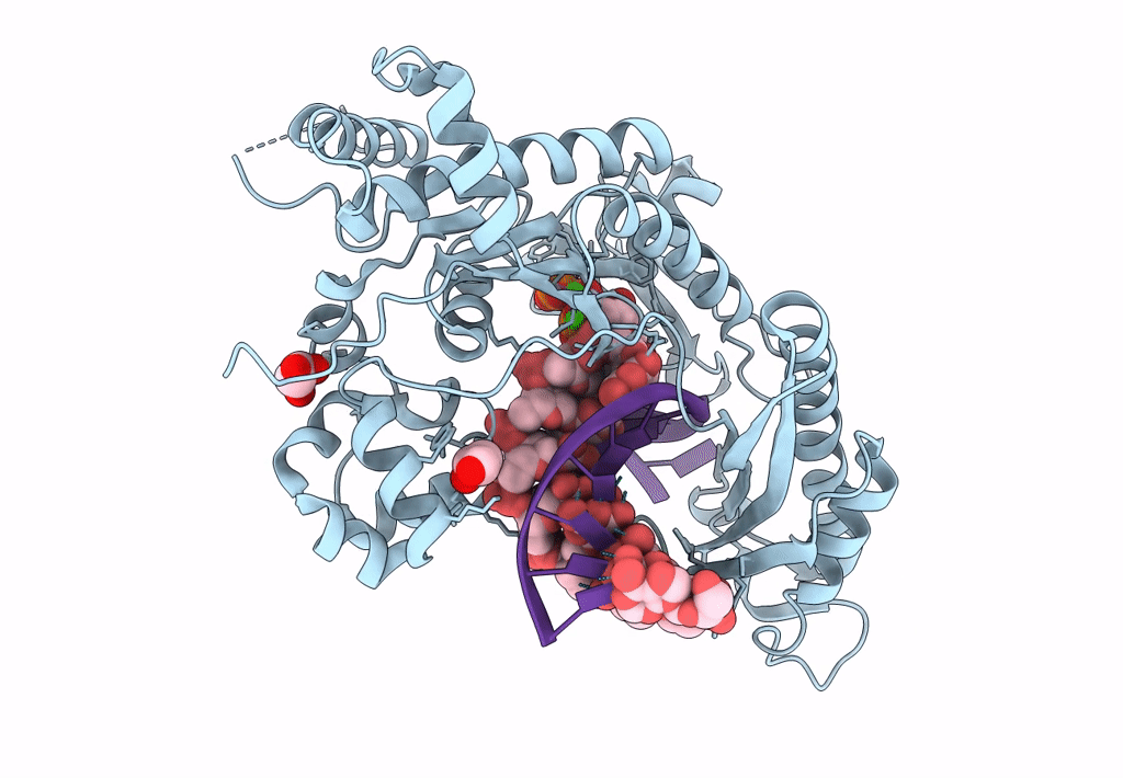 5L1I image
