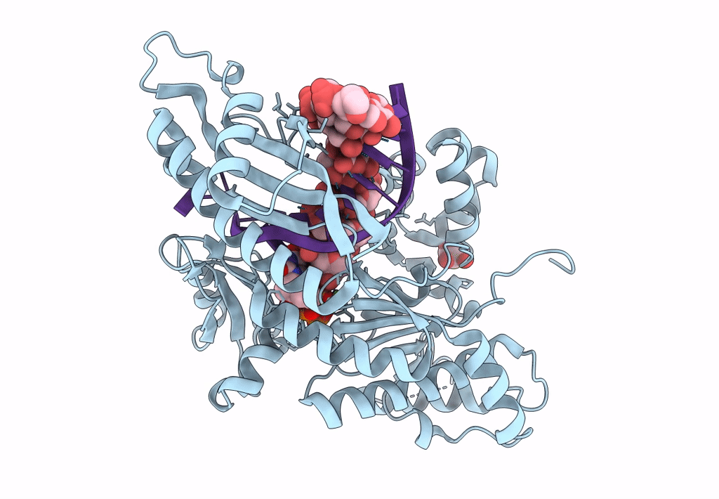 5L1J image