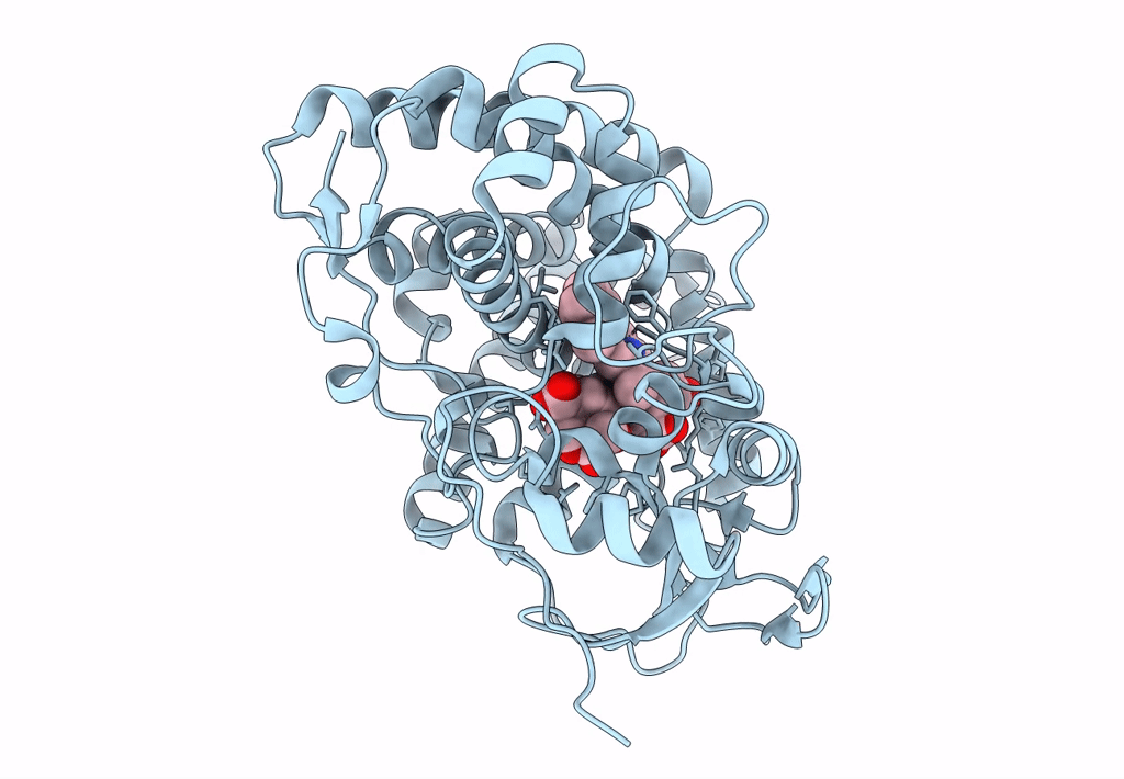 5L1S image