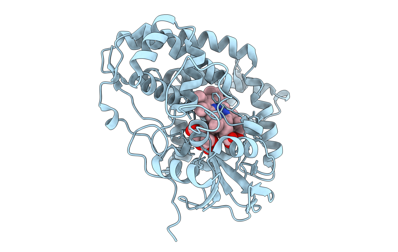 5L1V image