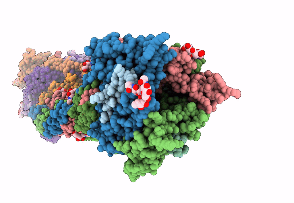 5L1X image