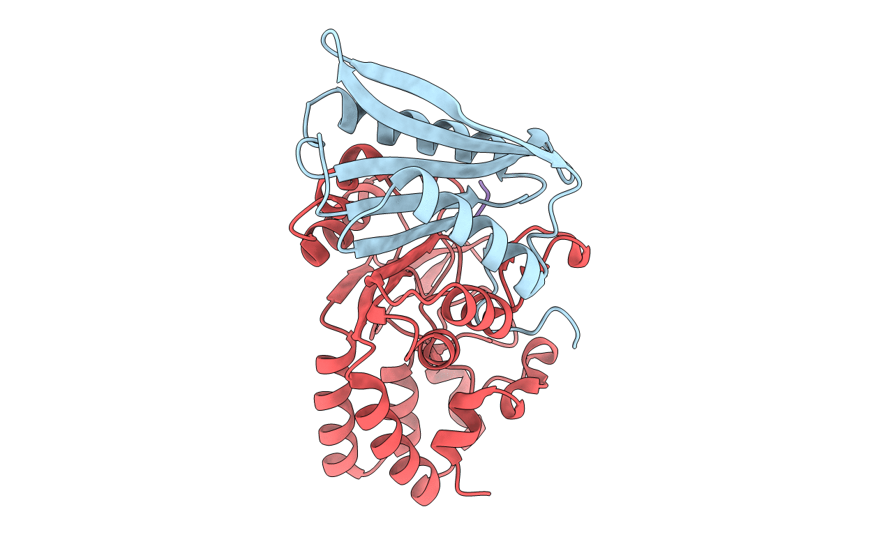5L20 image