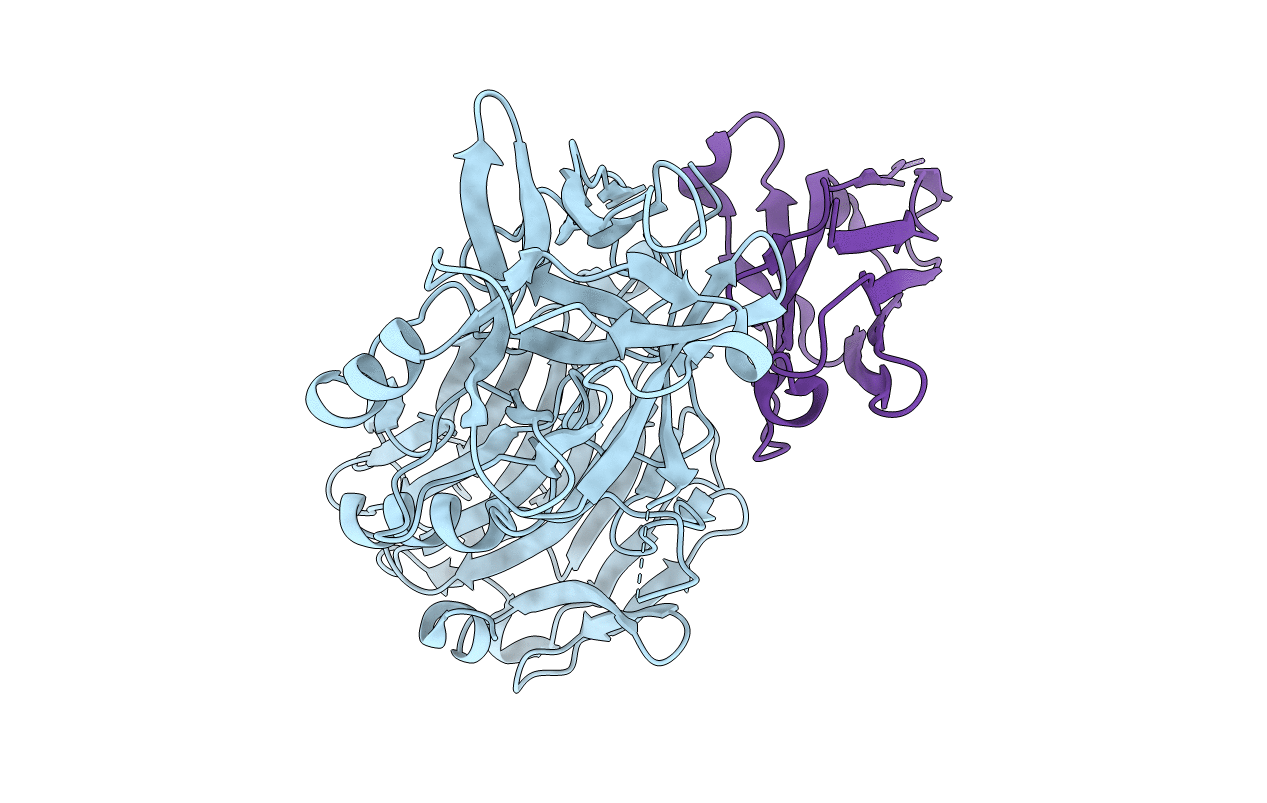 5L21 image