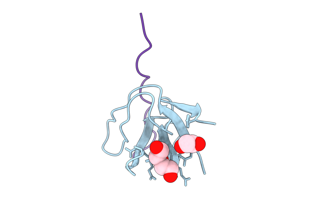 5L23 image