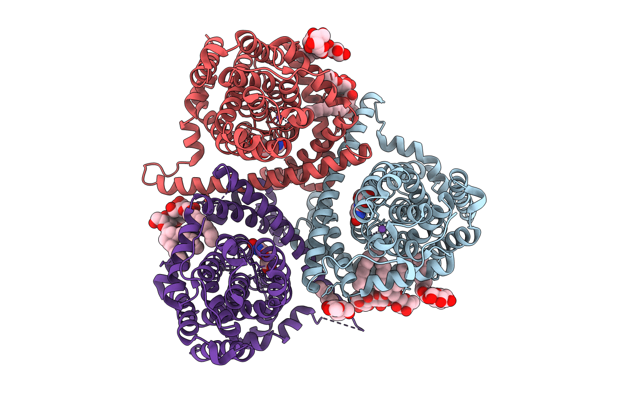 5L26 image