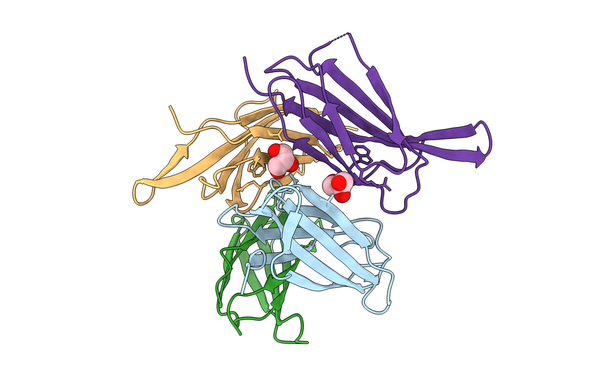 5L2H image
