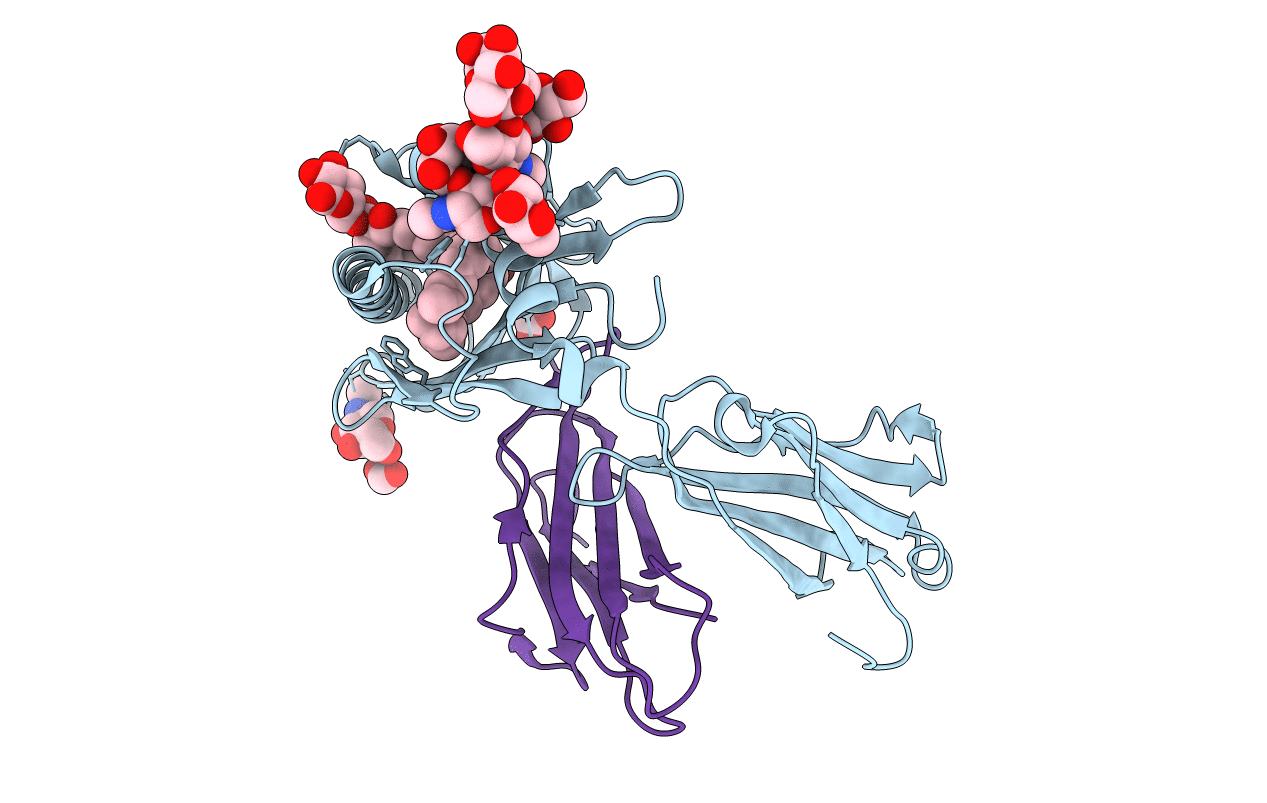 5L2J image