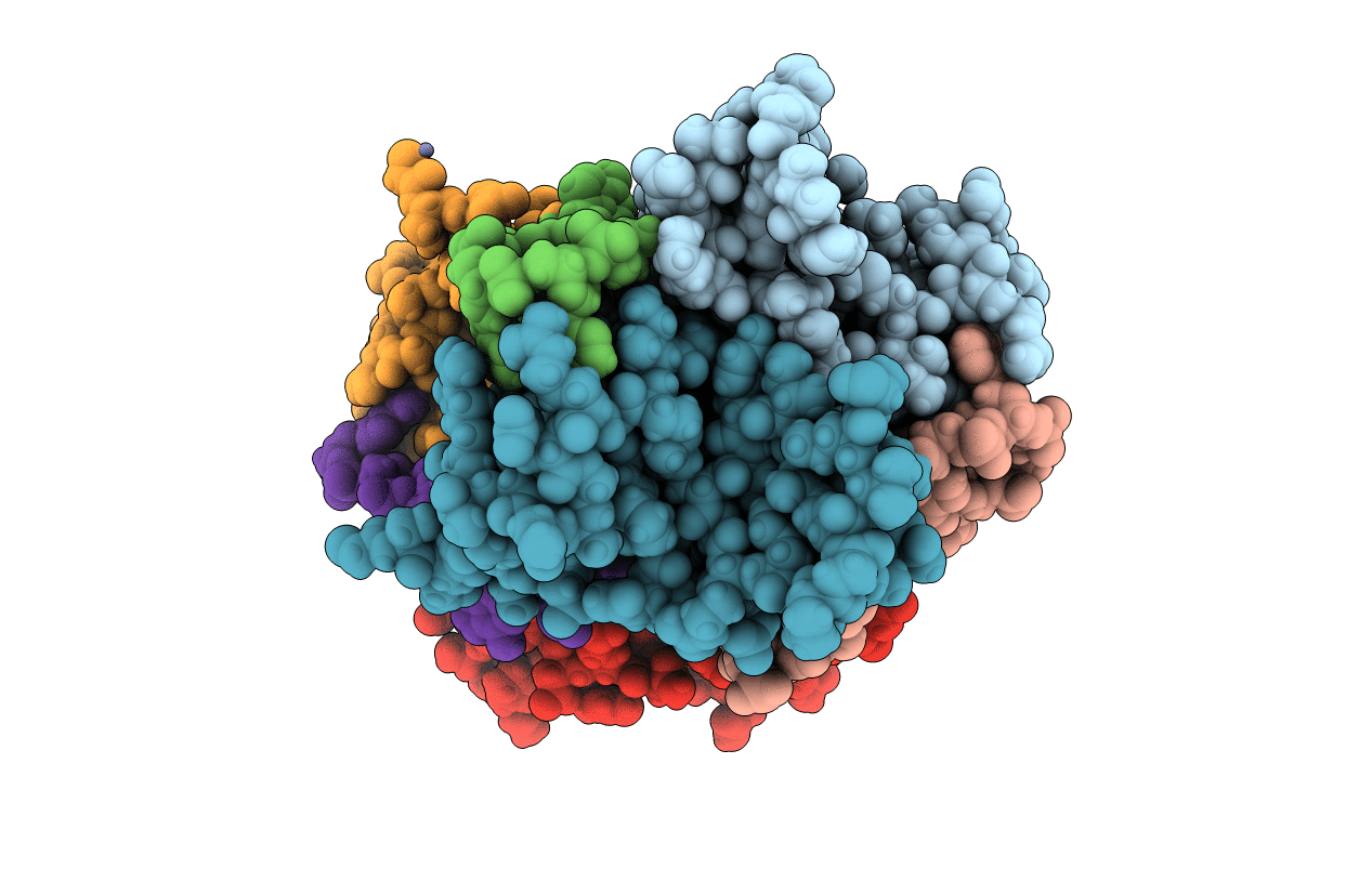 5L2L image