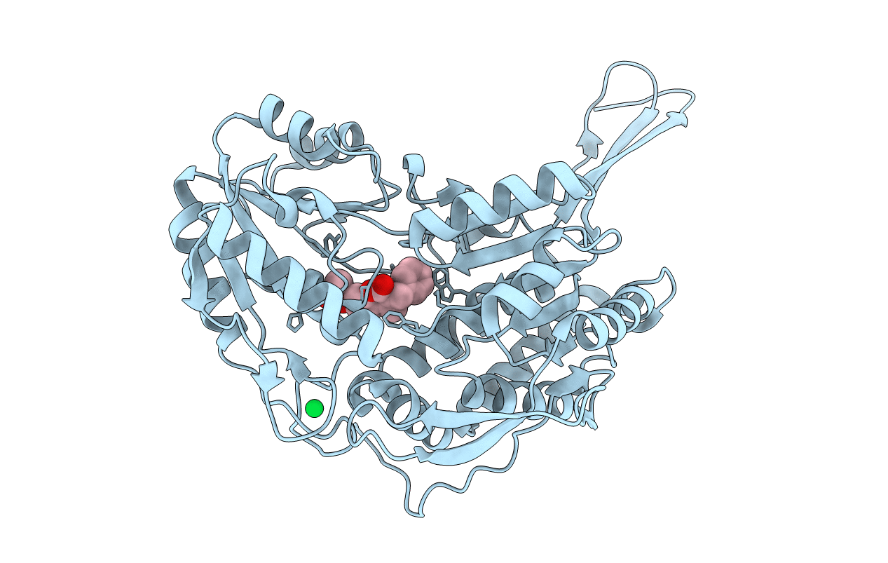 5L2N image