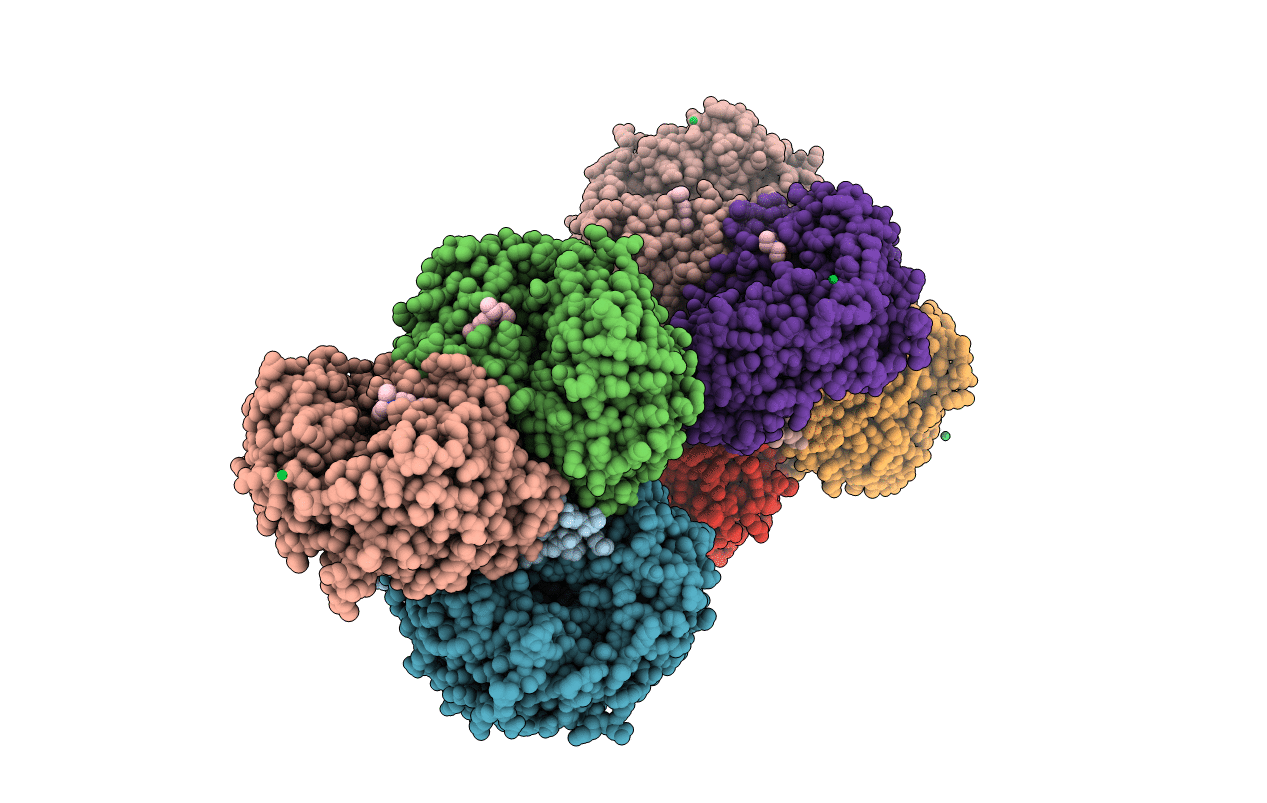 5L2O image