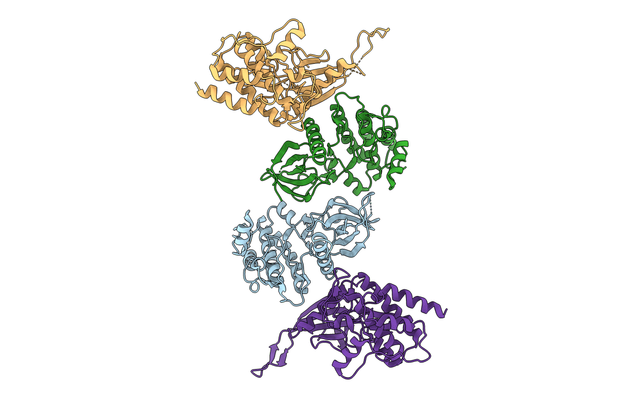 5L2Q image