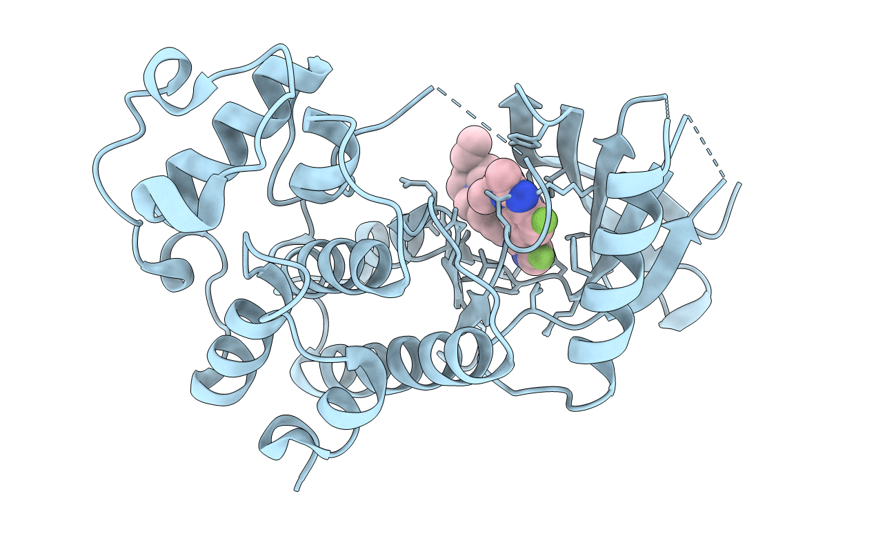 5L2S image