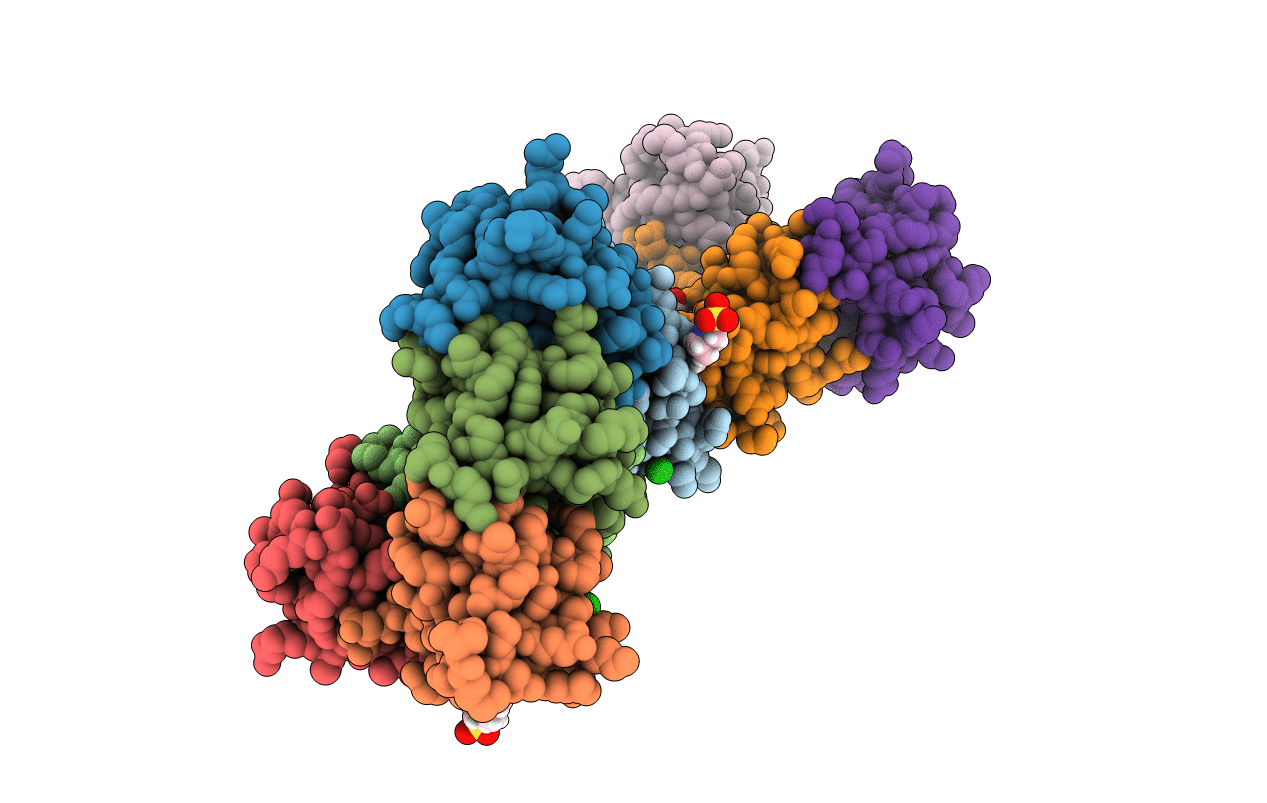 5L2U image