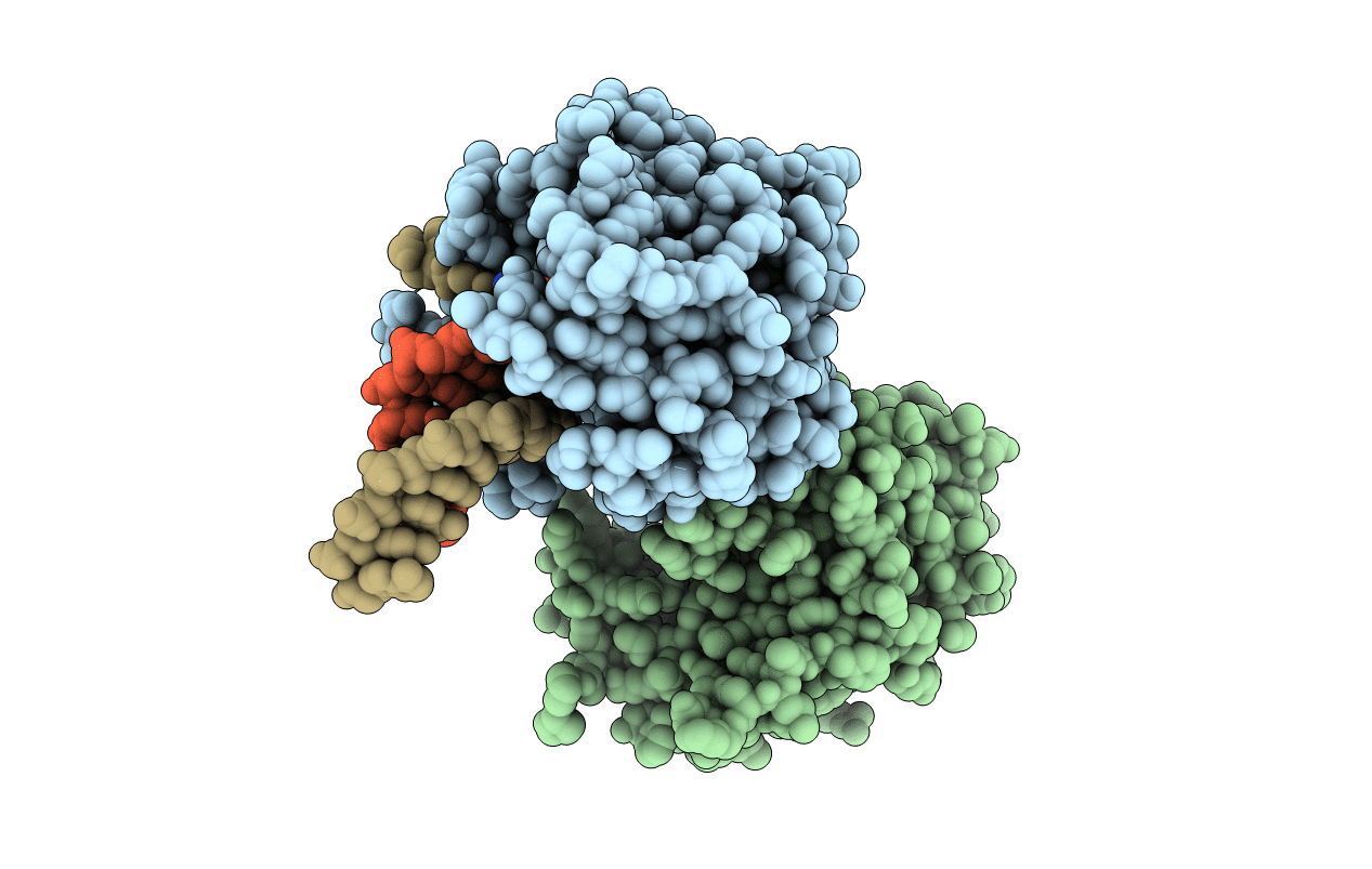 5L2X image