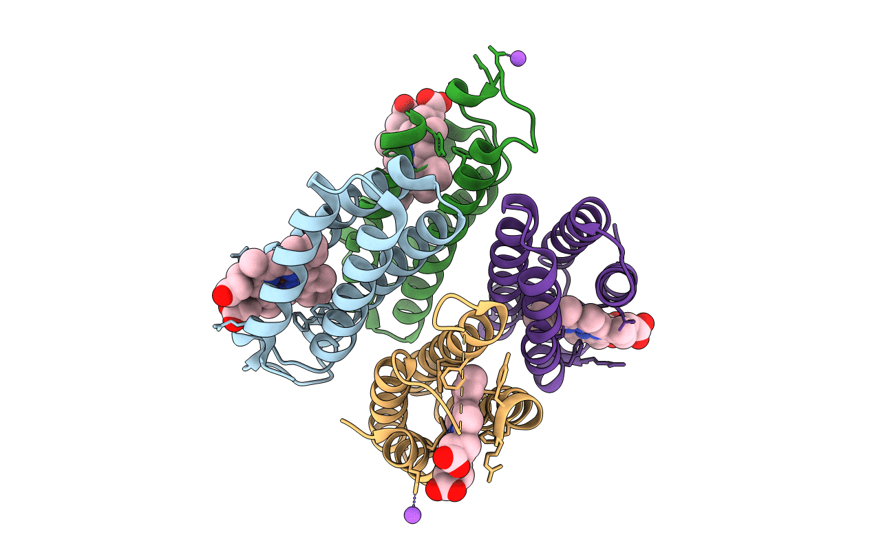 5L31 image