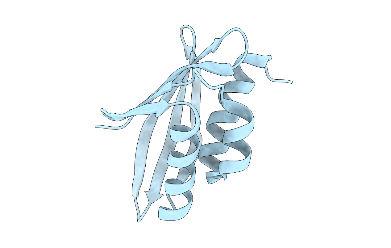 5L33 image