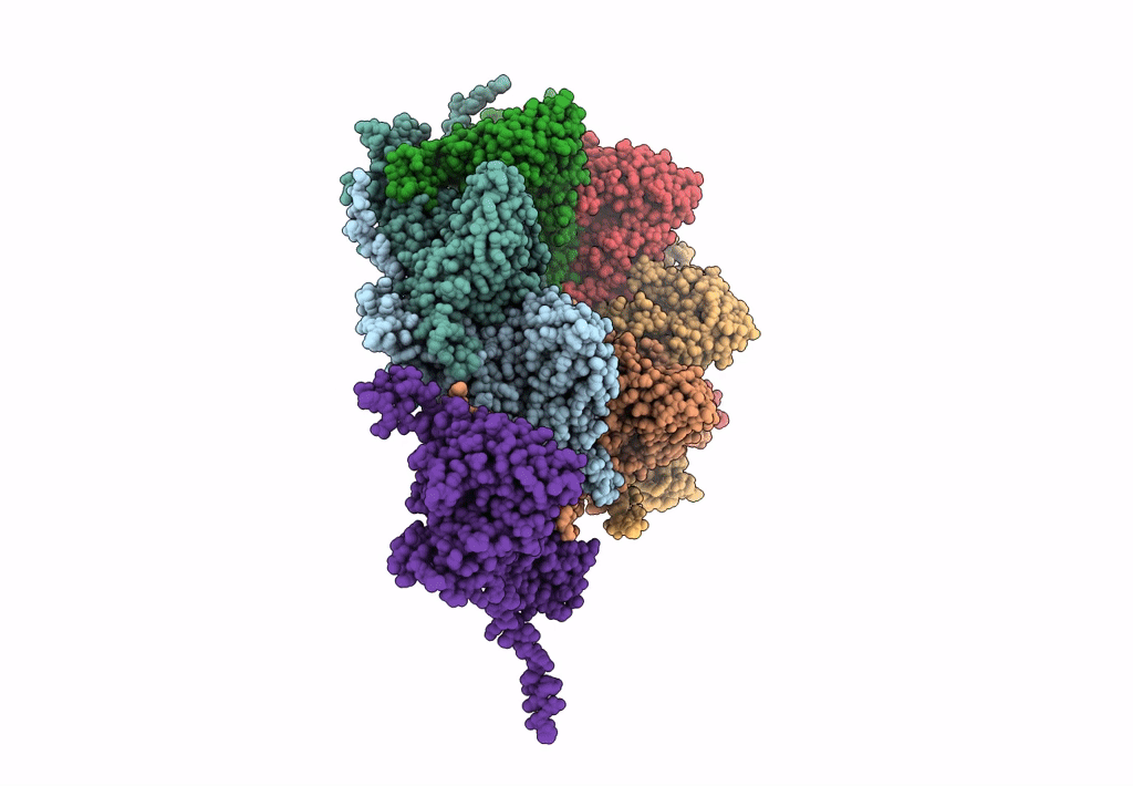 5L35 image