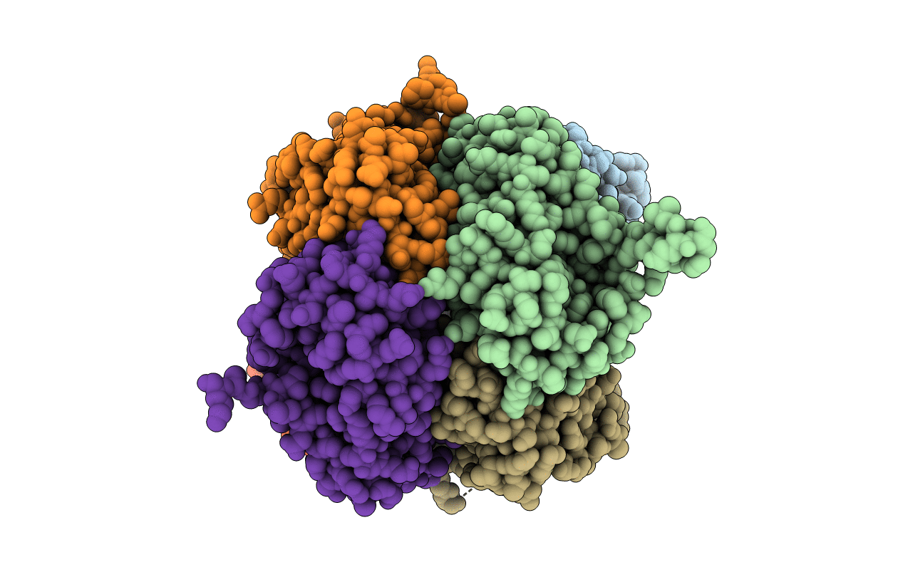 5L39 image