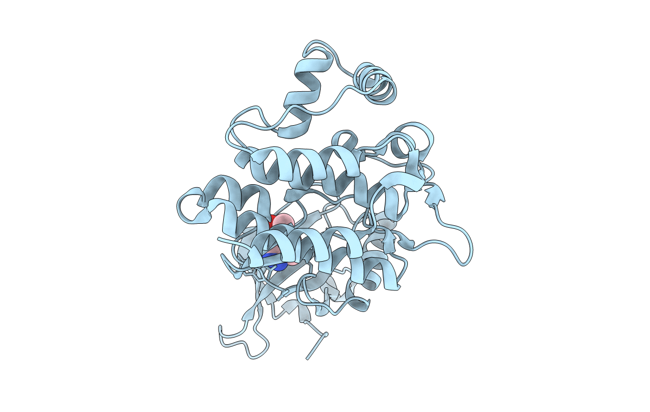 5L3A image