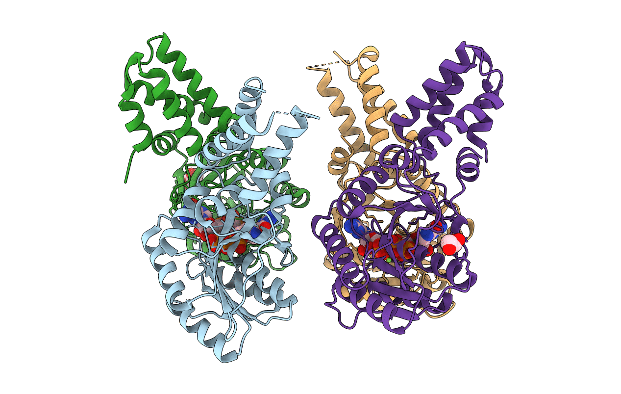 5L3R image