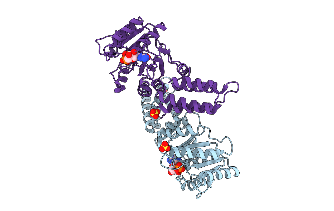 5L3V image