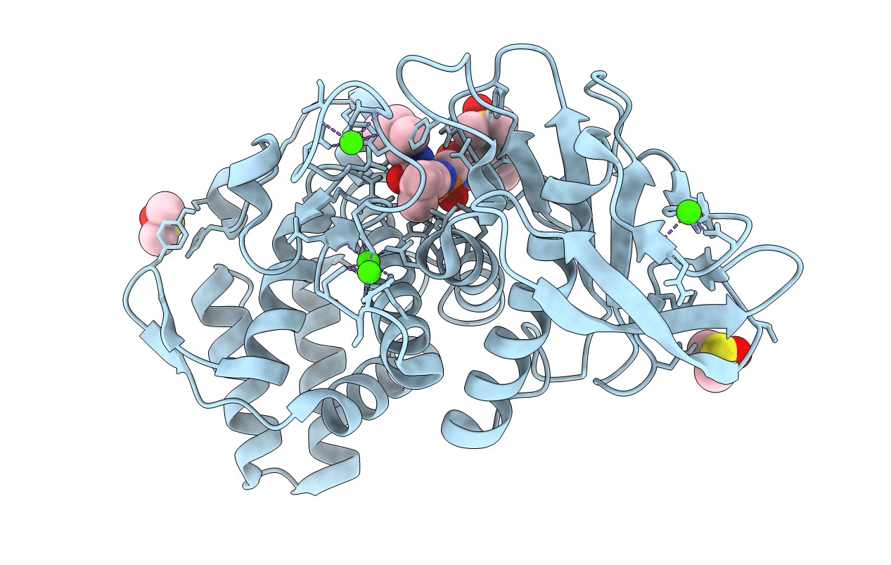 5L41 image