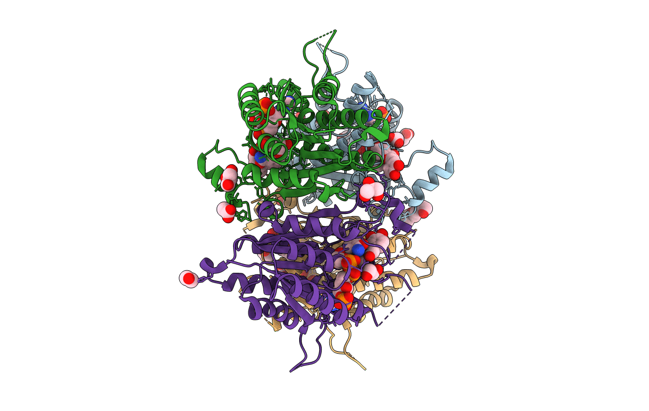 5L42 image