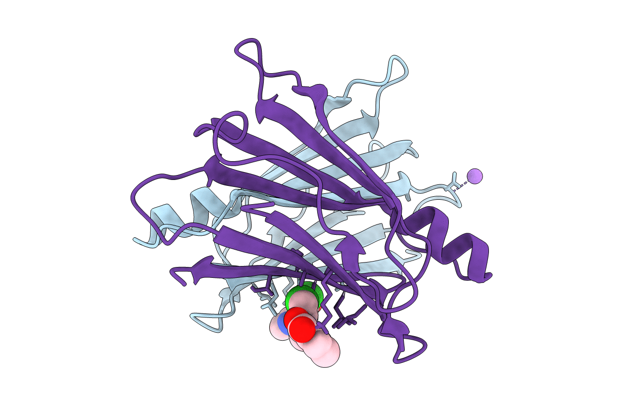 5L4I image