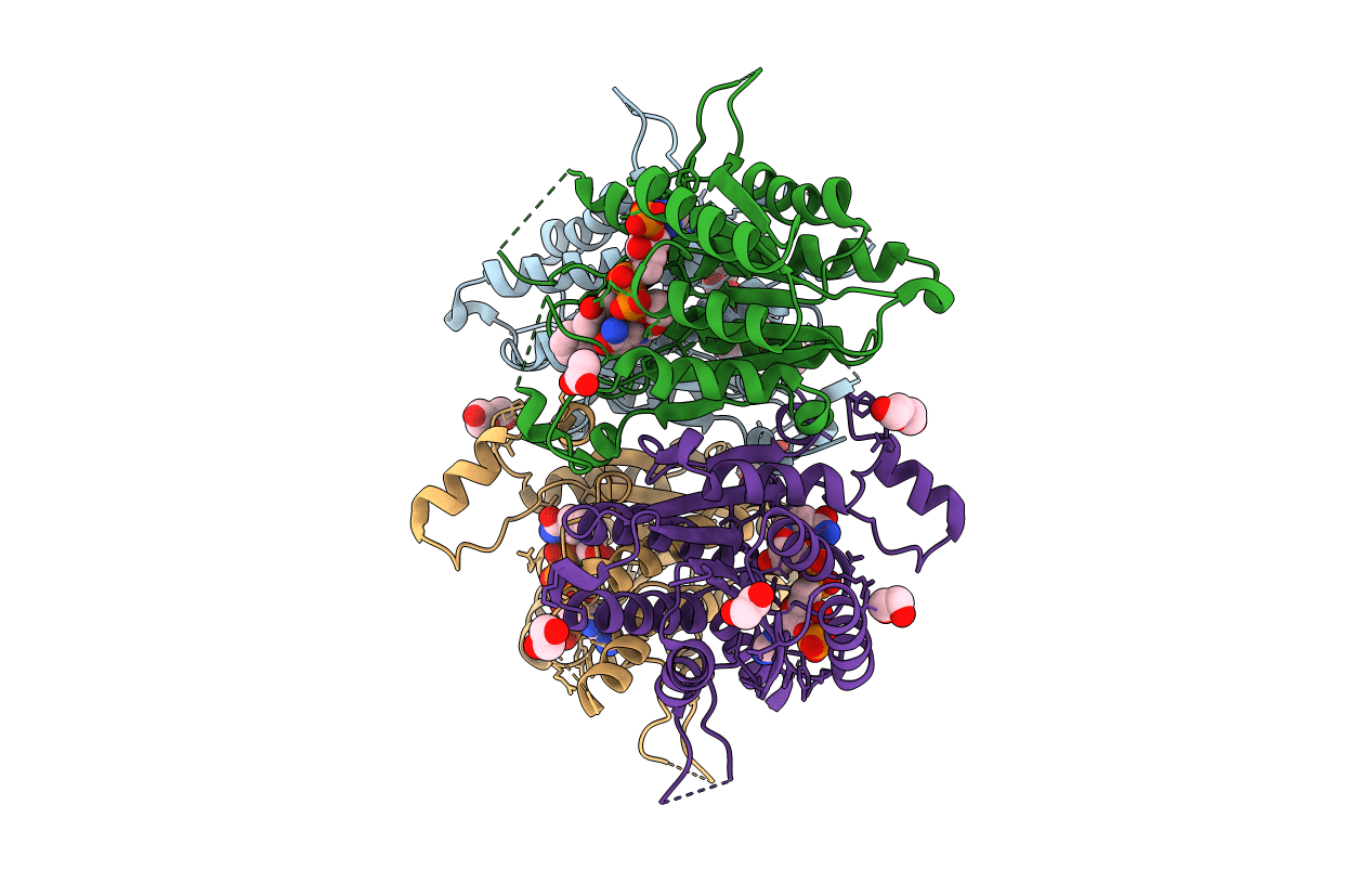 5L4N image