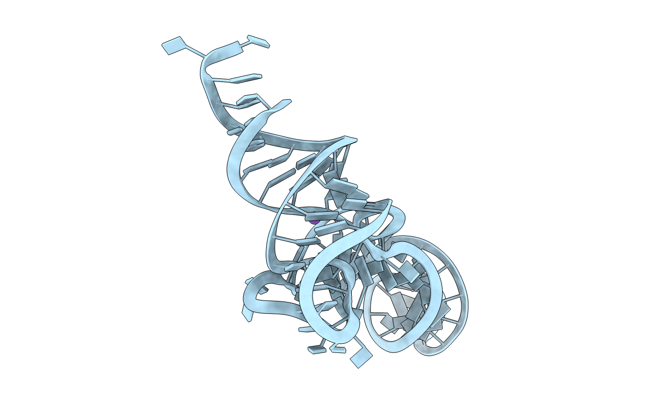 5L4O image