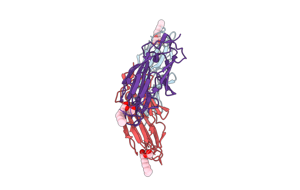 5L4V image